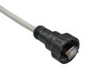 UT-SD215M1.jpg