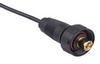 SD259F2-100.jpg